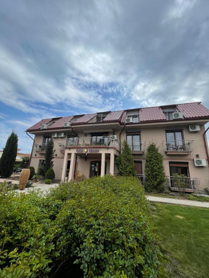 Отель Ametist Casa Leului Нэводари Экстерьер фото