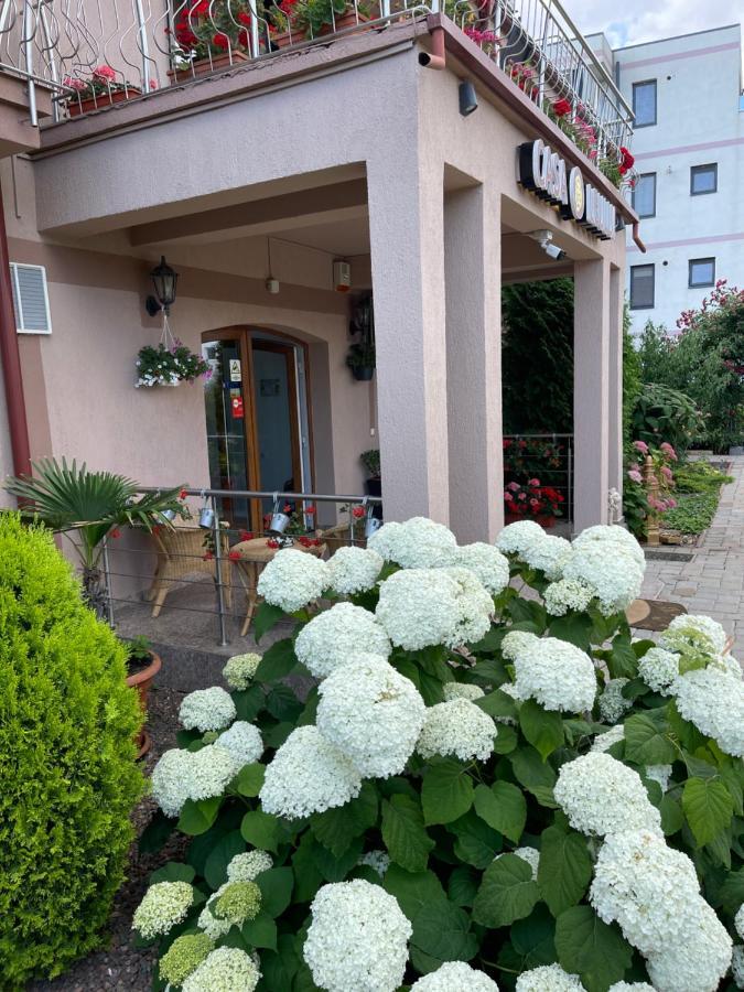Отель Ametist Casa Leului Нэводари Экстерьер фото